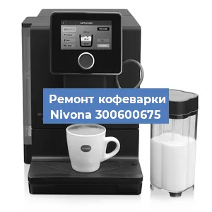 Замена прокладок на кофемашине Nivona 300600675 в Воронеже